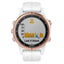 Garmin Fenix® 5S Plus 42 mm 010-01987-06