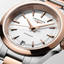 Reloj Longines Conquest L34603187